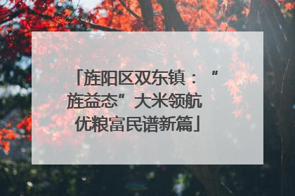 旌阳区双东镇：“旌益态”大米领航 优粮富民谱新篇