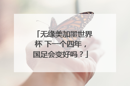 无缘美加墨世界杯 下一个四年，国足会变好吗？