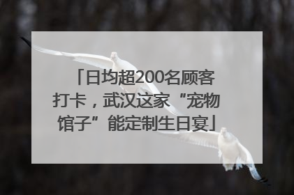 日均超200名顾客打卡，武汉这家“宠物馆子”能定制生日宴