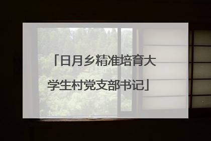 日月乡精准培育大学生村党支部书记