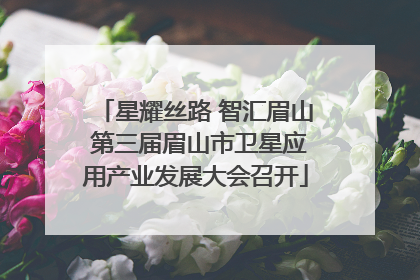 星耀丝路 智汇眉山 第三届眉山市卫星应用产业发展大会召开