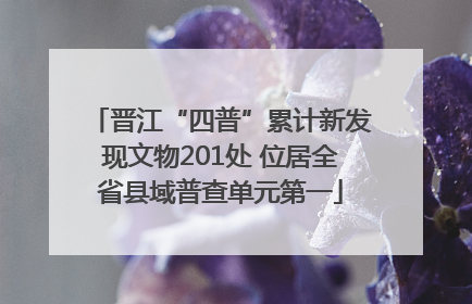 晋江“四普”累计新发现文物201处 位居全省县域普查单元第一