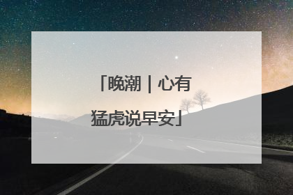 晚潮｜心有猛虎说早安