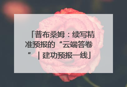普布桑姆：续写精准预报的“云端答卷”｜建功预报一线