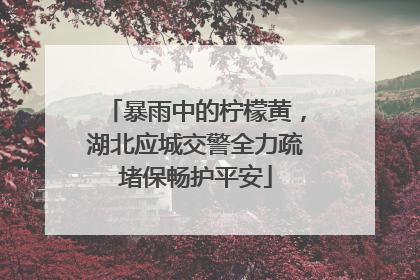 暴雨中的柠檬黄，湖北应城交警全力疏堵保畅护平安