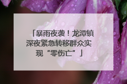 暴雨夜袭！龙潭镇深夜紧急转移群众实现“零伤亡”