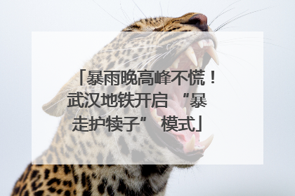 暴雨晚高峰不慌！武汉地铁开启 “暴走护犊子” 模式