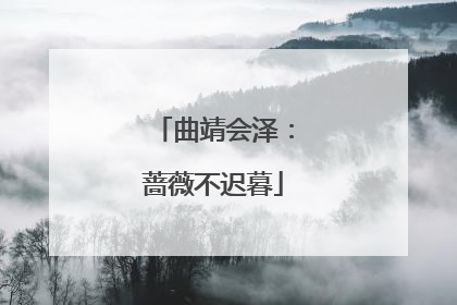 曲靖会泽：蔷薇不迟暮
