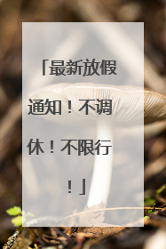 最新放假通知！不调休！不限行！