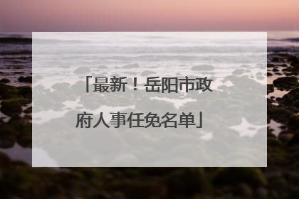 最新！岳阳市政府人事任免名单