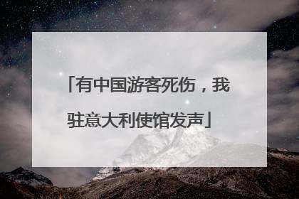 有中国游客死伤，我驻意大利使馆发声