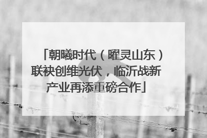 朝曦时代（曜灵山东）联袂创维光伏，临沂战新产业再添重磅合作
