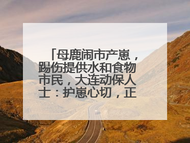 母鹿闹市产崽，踢伤提供水和食物市民，大连动保人士：护崽心切，正在想法送回山里