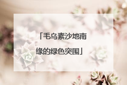 毛乌素沙地南缘的绿色突围