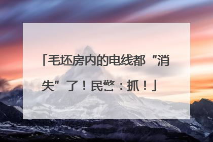 毛坯房内的电线都“消失”了！民警：抓！