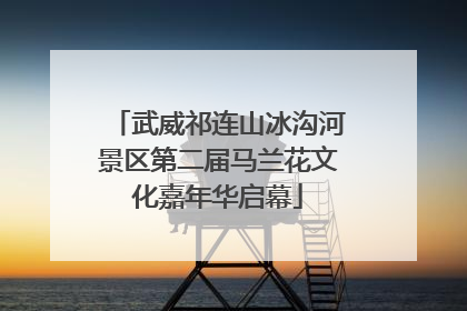 武威祁连山冰沟河景区第二届马兰花文化嘉年华启幕