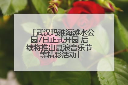 武汉玛雅海滩水公园7日正式开园 后续将推出夏浪音乐节等精彩活动
