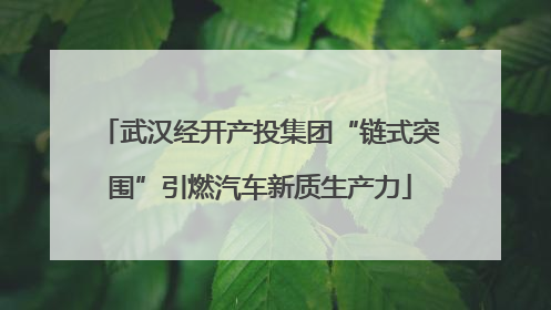 武汉经开产投集团“链式突围”引燃汽车新质生产力