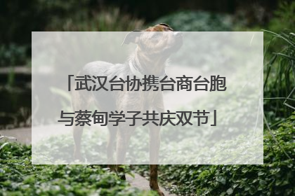 武汉台协携台商台胞与蔡甸学子共庆双节
