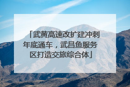 武黄高速改扩建冲刺年底通车，武昌鱼服务区打造交旅综合体