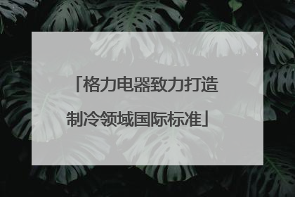 格力电器致力打造制冷领域国际标准