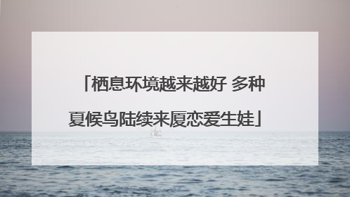 栖息环境越来越好 多种夏候鸟陆续来厦恋爱生娃