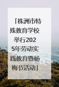 株洲市特殊教育学校举行2025年劳动实践教育暨杨梅节活动