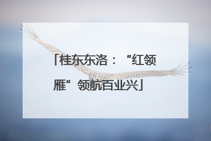 桂东东洛：“红领雁”领航百业兴