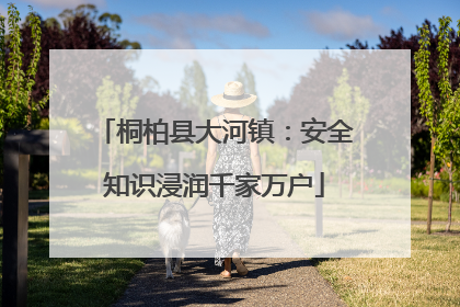 桐柏县大河镇：安全知识浸润千家万户
