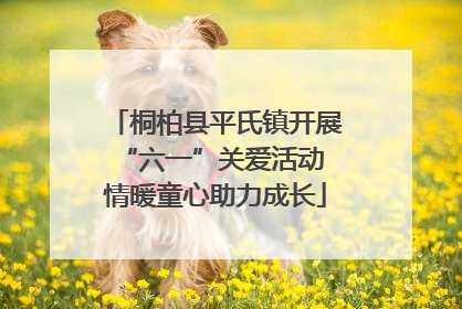 桐柏县平氏镇开展“六一”关爱活动 情暖童心助力成长