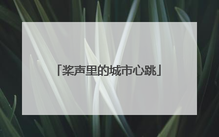 桨声里的城市心跳
