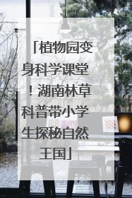 植物园变身科学课堂！湖南林草科普带小学生探秘自然王国