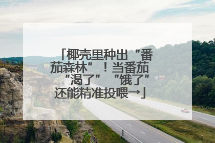 椰壳里种出“番茄森林”！当番茄“渴了”“饿了”还能精准投喂→