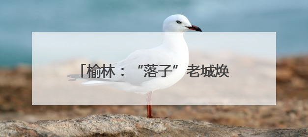 榆林：“落子”老城焕新 “盘活”文旅蝶变