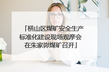 横山区煤矿安全生产标准化建设现场观摩会在朱家峁煤矿召开