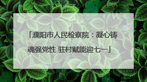 濮阳市人民检察院：凝心铸魂强党性 驻村赋能迎七一