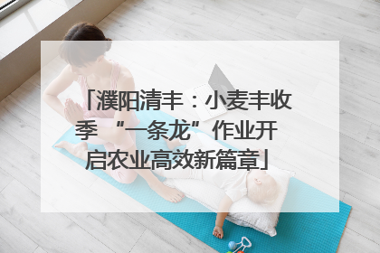 濮阳清丰：小麦丰收季 “一条龙”作业开启农业高效新篇章