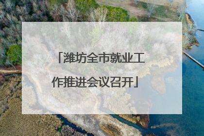 潍坊全市就业工作推进会议召开
