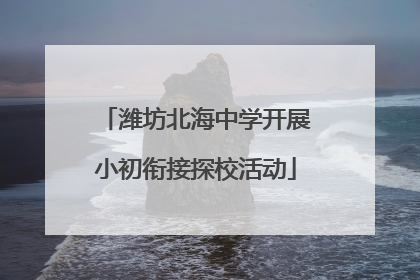 潍坊北海中学开展小初衔接探校活动