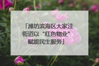 潍坊滨海区大家洼街道以“红色物业”赋能民生服务