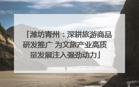 潍坊青州：深耕旅游商品研发推广 为文旅产业高质量发展注入强劲动力