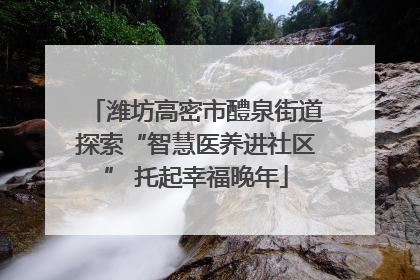 潍坊高密市醴泉街道探索“智慧医养进社区” 托起幸福晚年