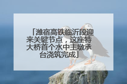 潍宿高铁临沂段迎来关键节点，这座特大桥首个水中主墩承台浇筑完成