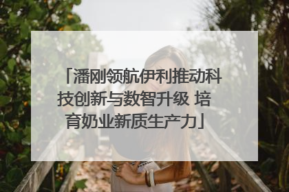 潘刚领航伊利推动科技创新与数智升级 培育奶业新质生产力