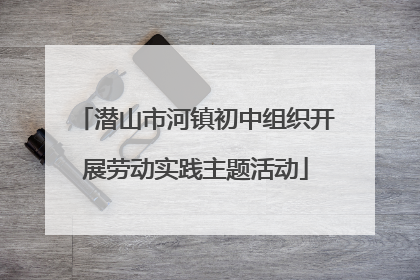 潜山市河镇初中组织开展劳动实践主题活动