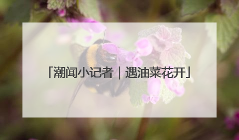 潮闻小记者｜遇油菜花开