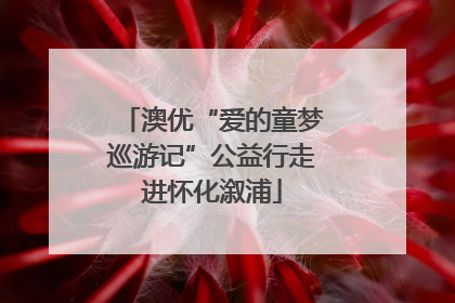 澳优“爱的童梦巡游记”公益行走进怀化溆浦
