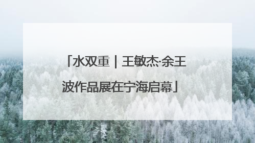 水双重｜王敏杰·余王波作品展在宁海启幕