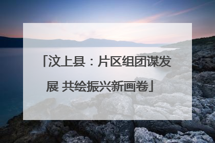 汶上县：片区组团谋发展 共绘振兴新画卷