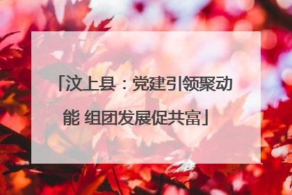 汶上县：党建引领聚动能 组团发展促共富